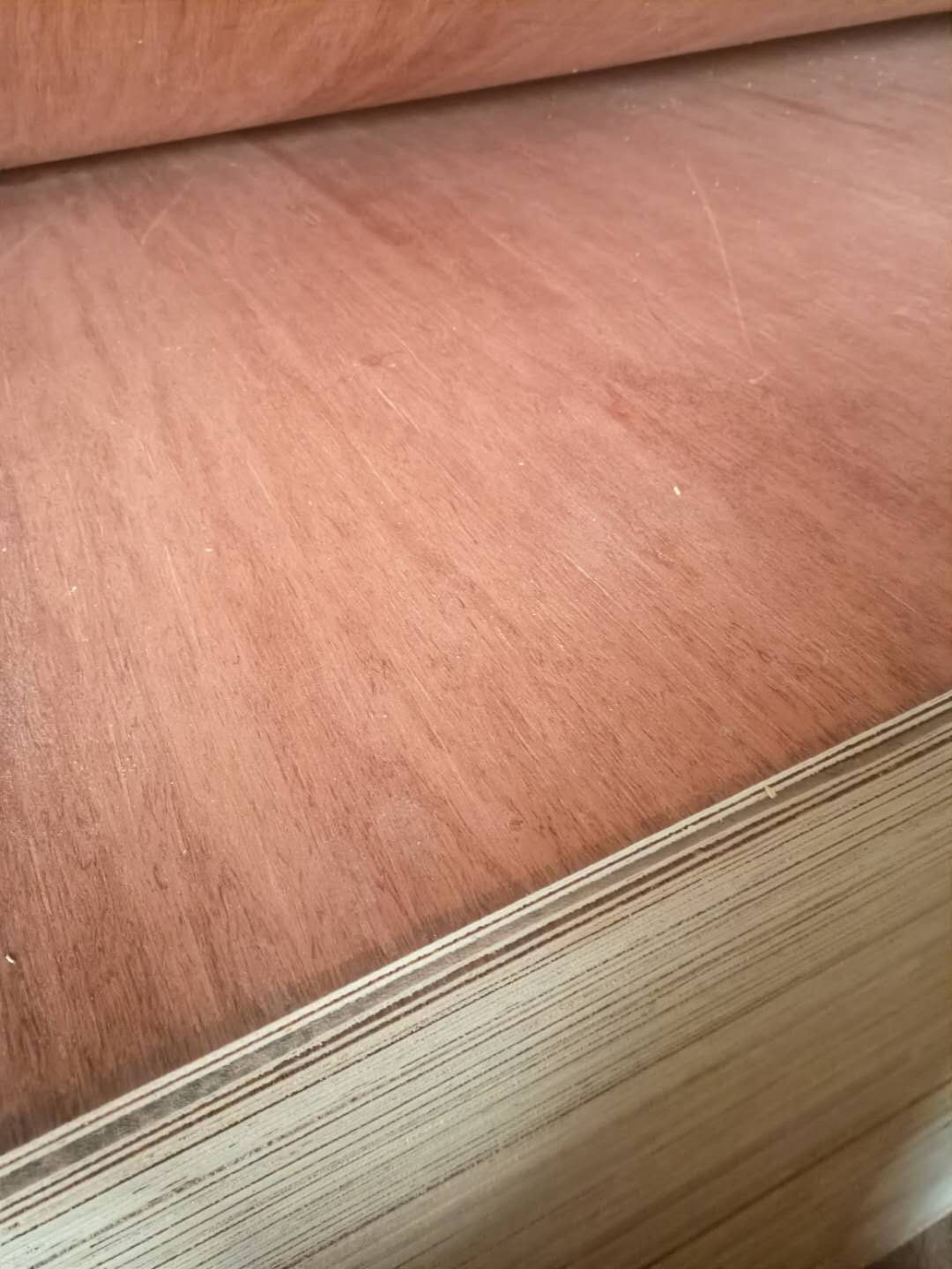 的詳細介紹
