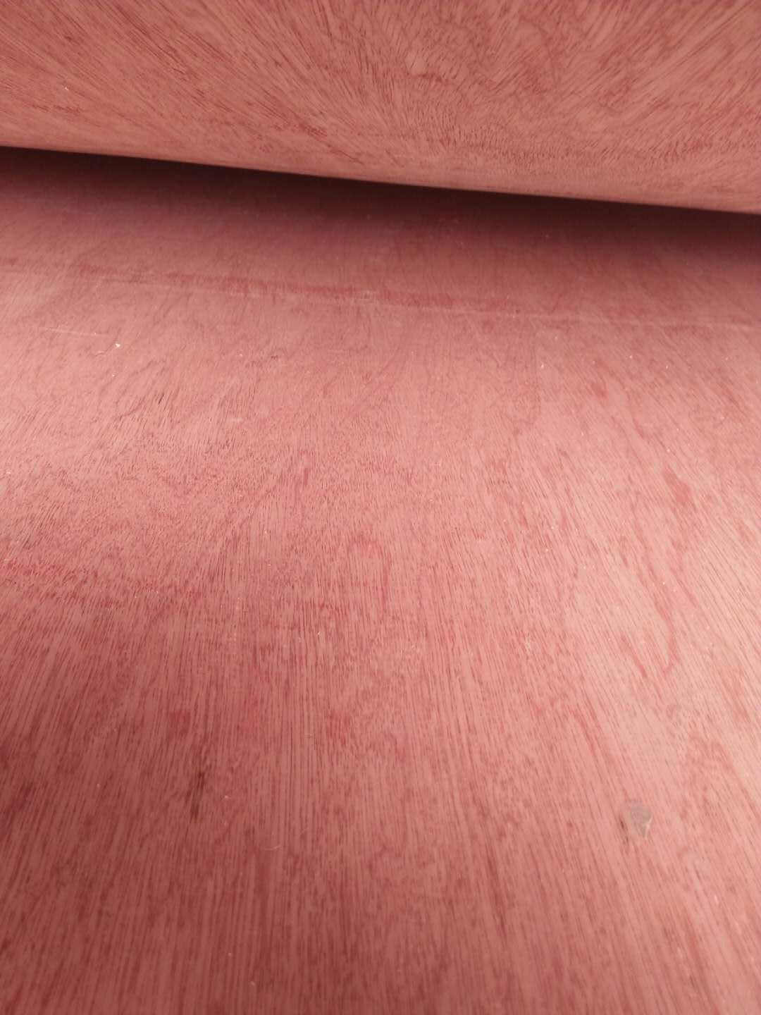 的詳細介紹