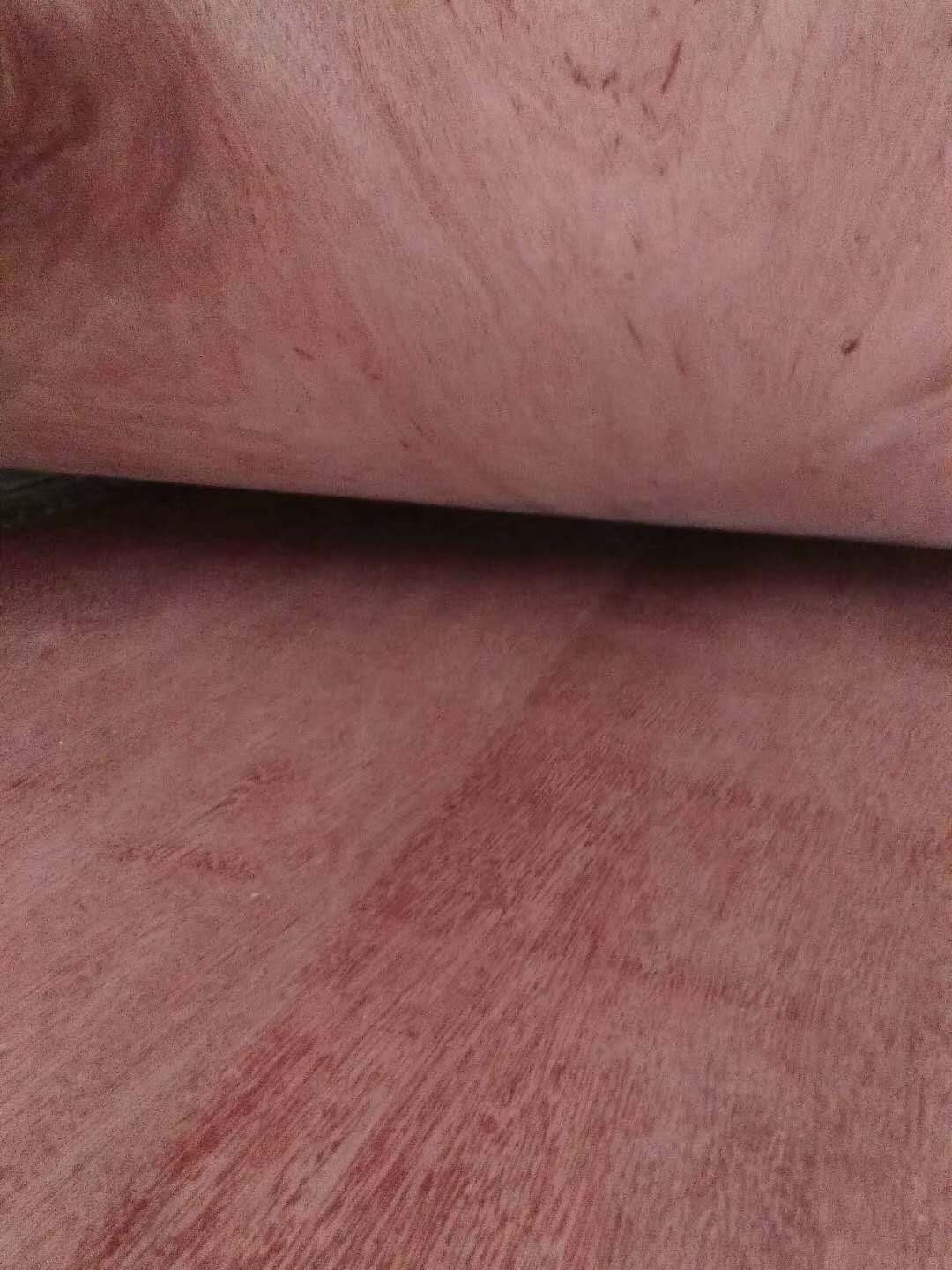 的詳細介紹