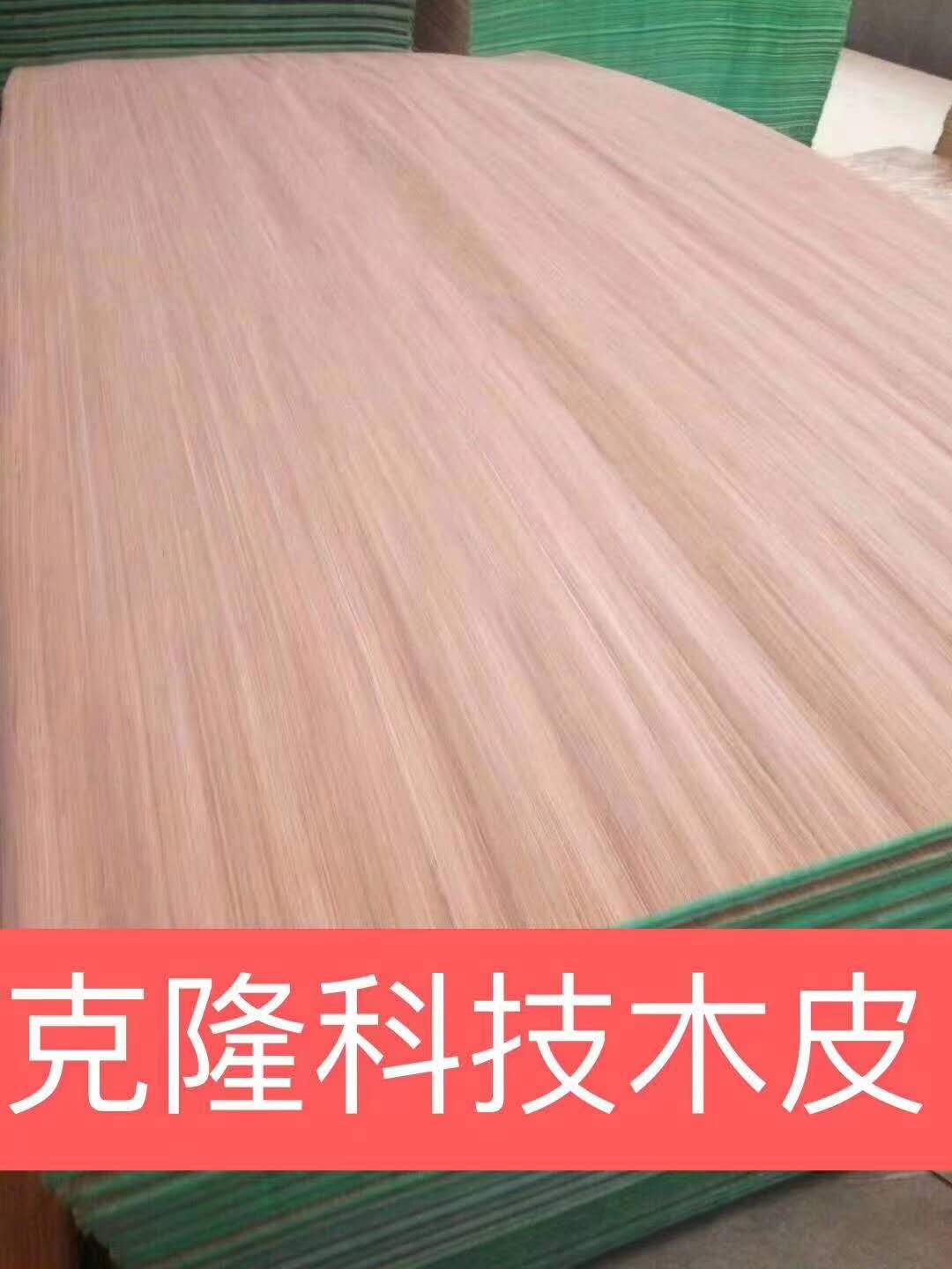 的詳細(xì)介紹