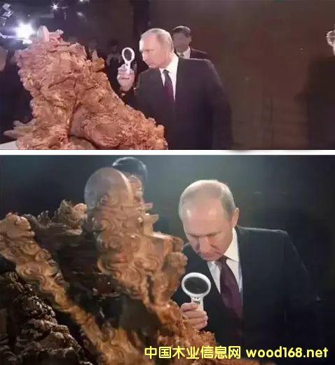 tľҾu(gu)ҷ(hu)8