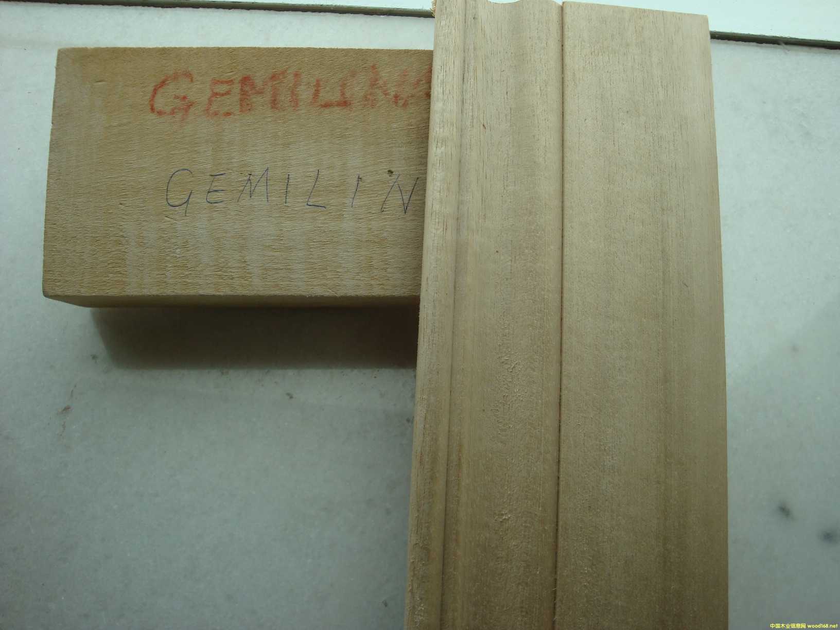 [] (yng)ľľeʯľGMELINA