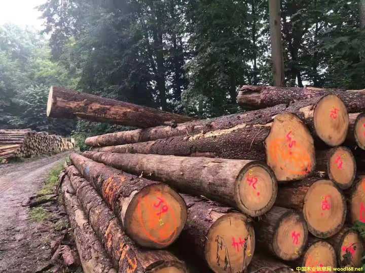 ɼԔB