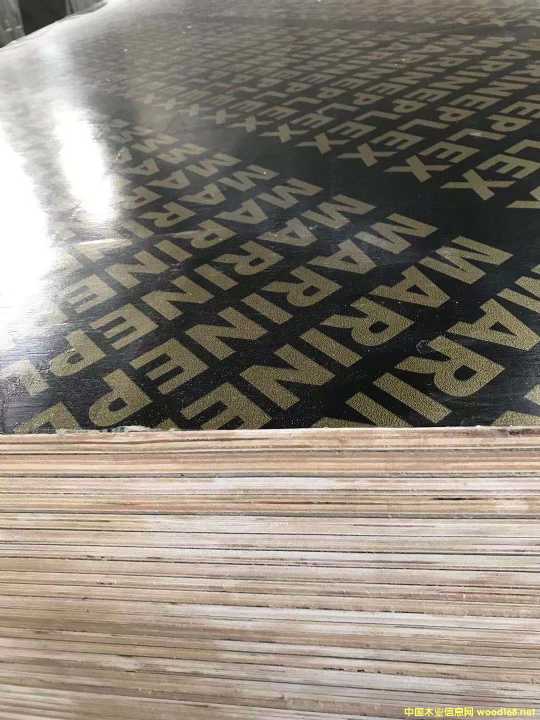 的詳細介紹