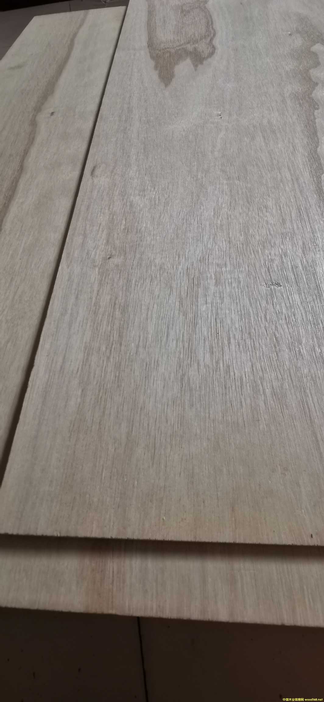 ͩľˇ
