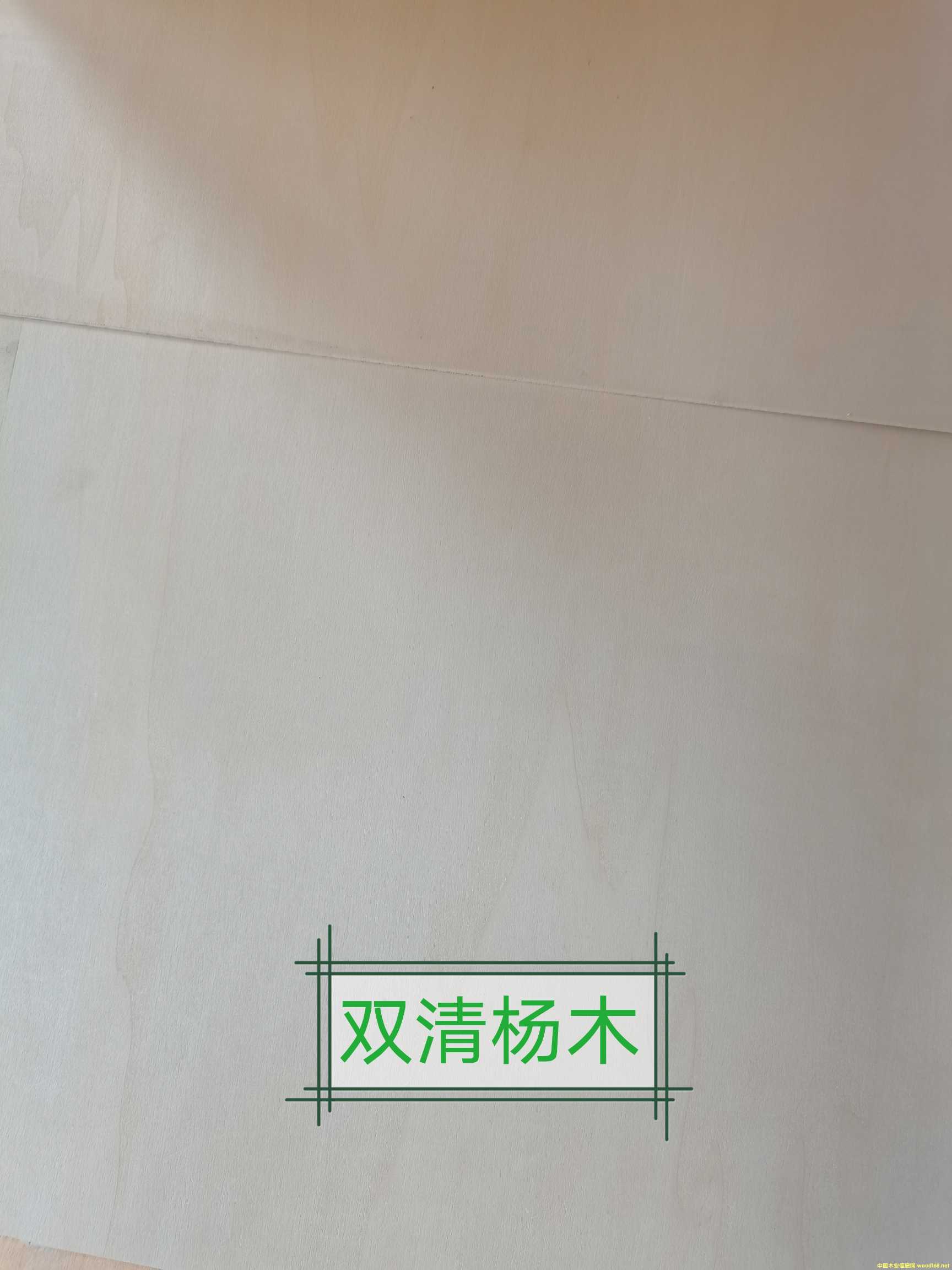 ӹˇ