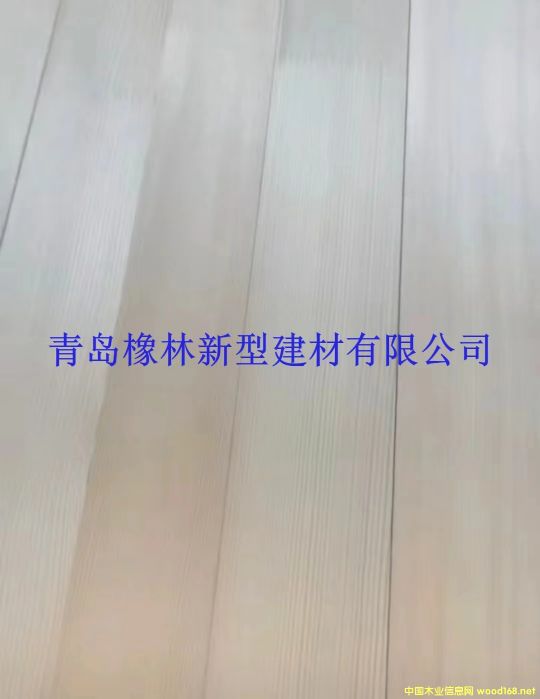 _˹ɼɲģã