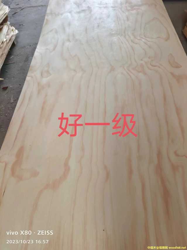 的詳細介紹