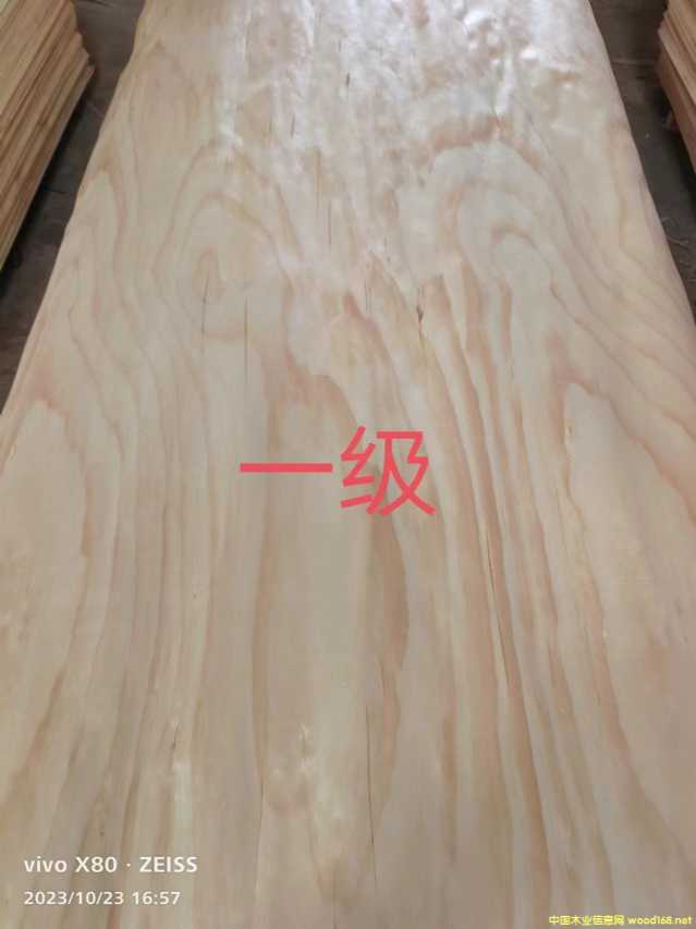 的詳細介紹