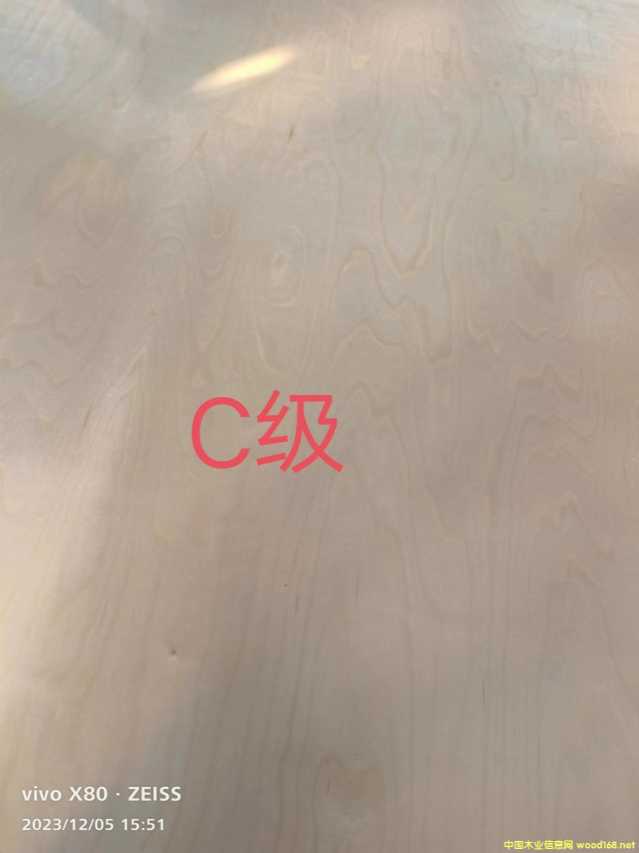 的詳細介紹