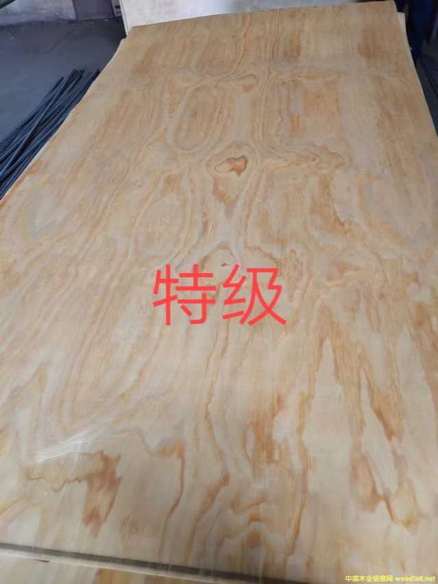 的詳細介紹