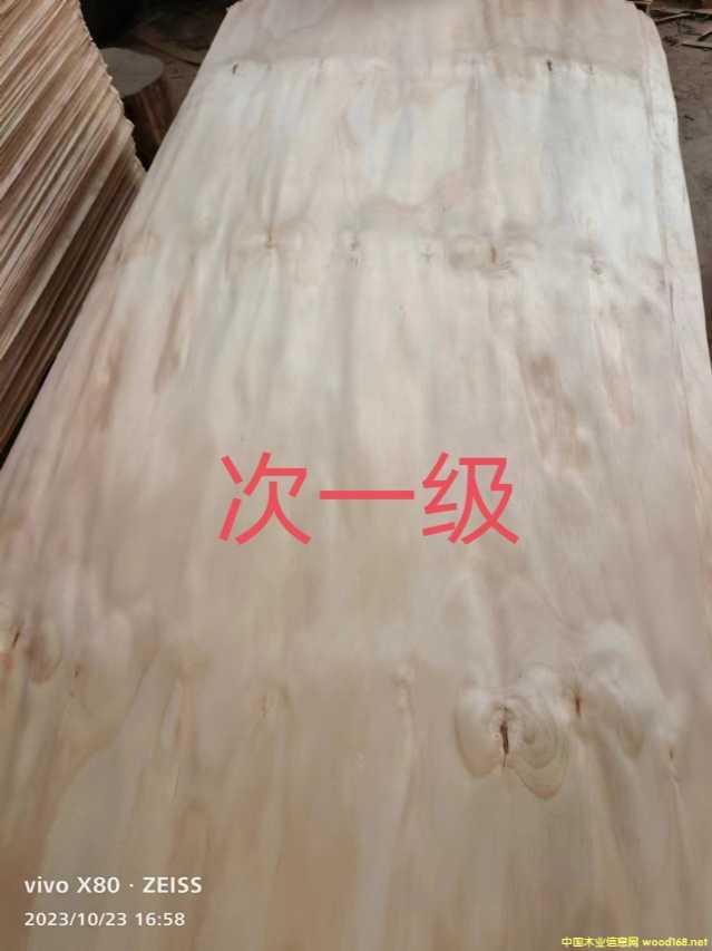 的詳細介紹