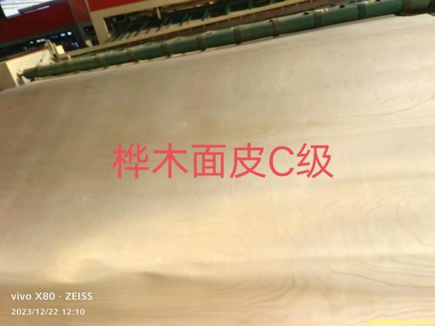 的詳細介紹