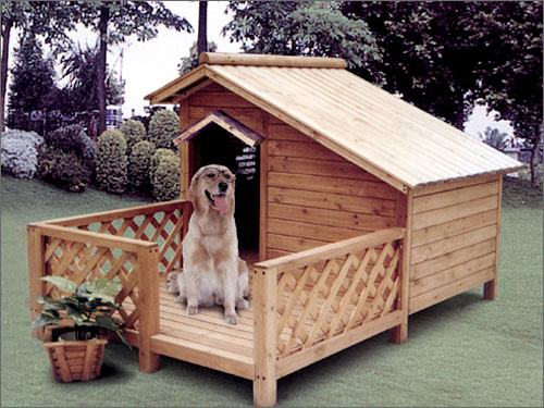 Ȯᣨ)_(ti) DOG HOUSE WITH BALCԔ(x)B