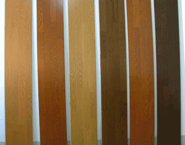 c(din)鿴ձԭbM(jn)Ʒ(sh)ľӵذ88Ԫ,W(wng)ֱNŴDƬ