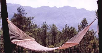 c(din)鿴Cotton Roag HammockŴDƬ